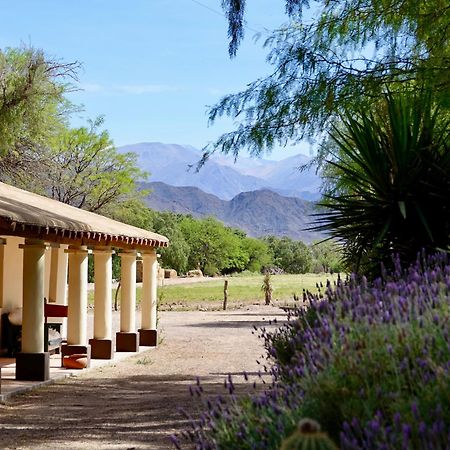 Estancia Banda Grande - Horse & Hiking Safaris Molinos Buitenkant foto
