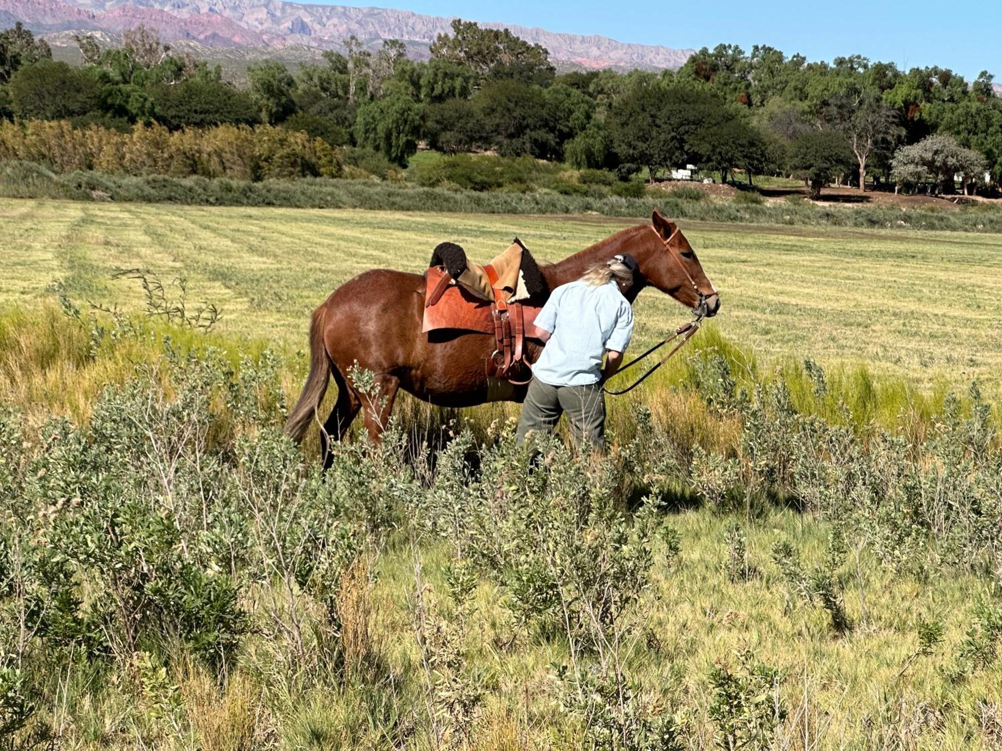 Estancia Banda Grande - Horse & Hiking Safaris Molinos Buitenkant foto