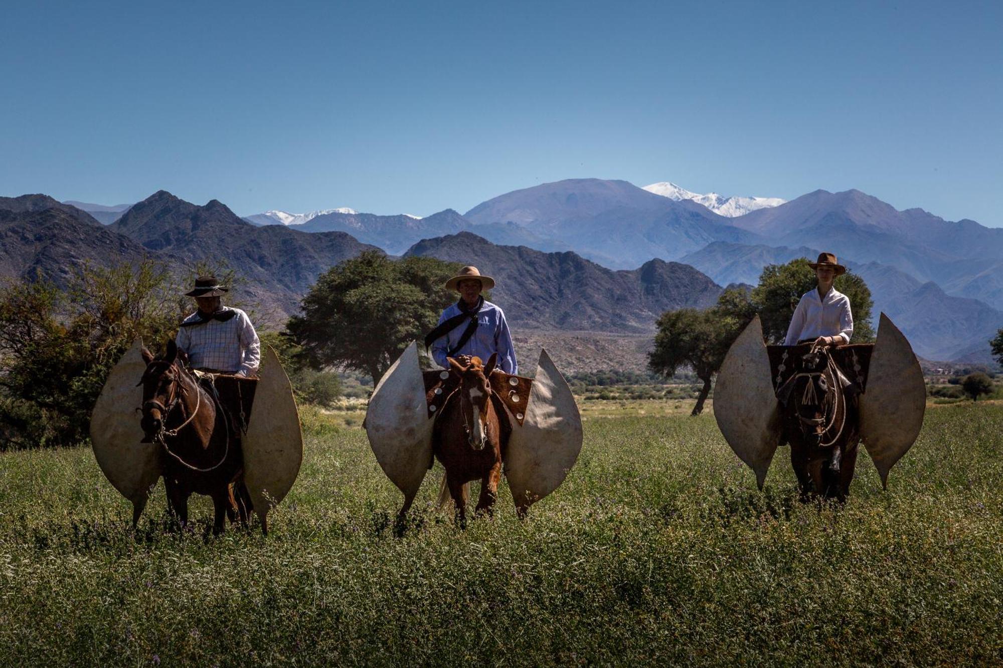 Estancia Banda Grande - Horse & Hiking Safaris Molinos Buitenkant foto