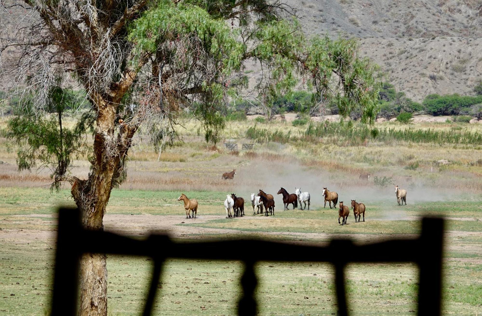 Estancia Banda Grande - Horse & Hiking Safaris Molinos Buitenkant foto