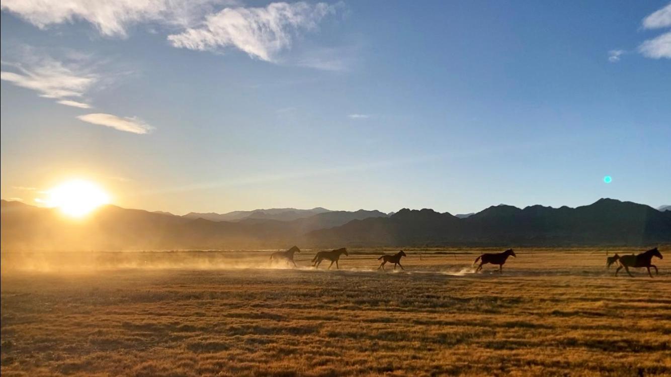 Estancia Banda Grande - Horse & Hiking Safaris Molinos Buitenkant foto