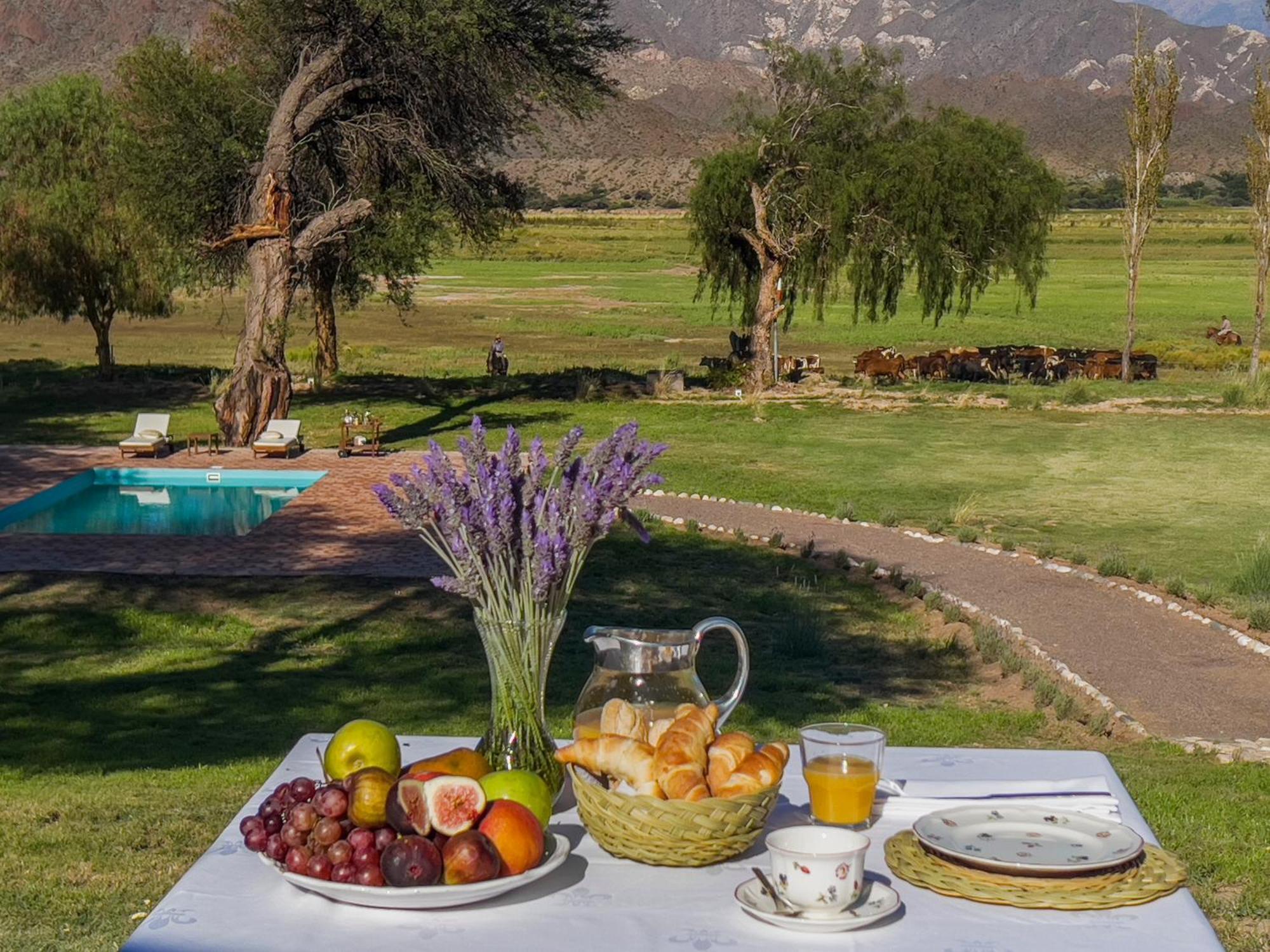 Estancia Banda Grande - Horse & Hiking Safaris Molinos Buitenkant foto